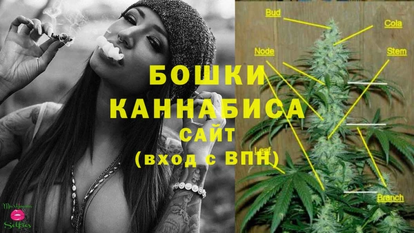 стафф Кинешма
