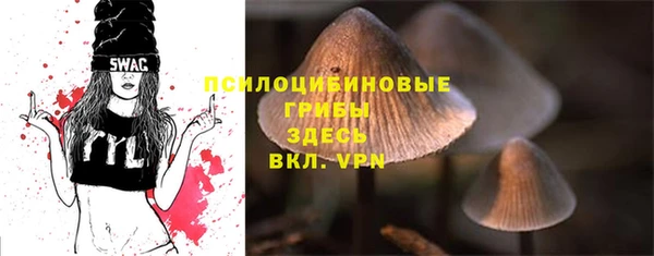 стафф Кинешма