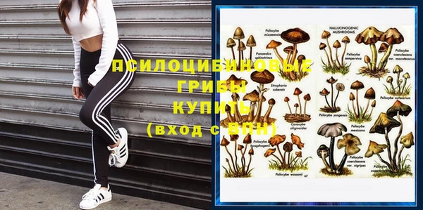 стафф Киренск