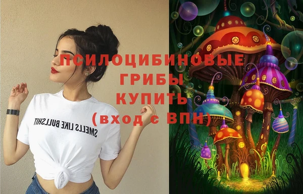 стафф Киренск