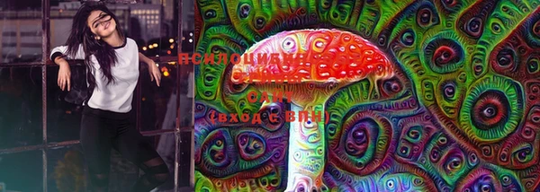 стафф Кинешма