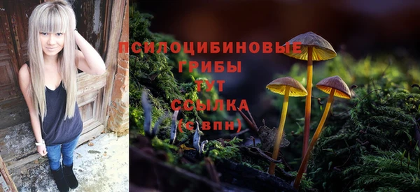 стафф Кинешма