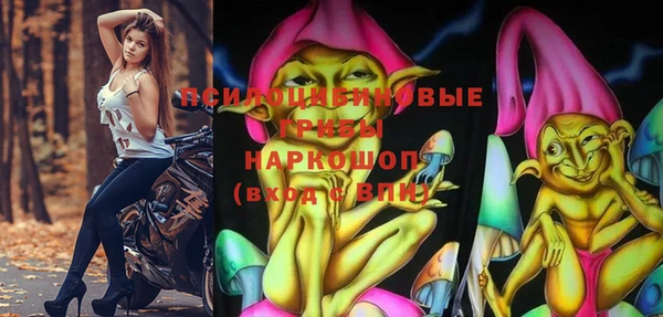 стафф Киренск