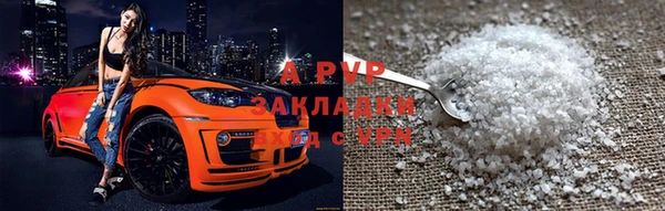 стафф Кинешма
